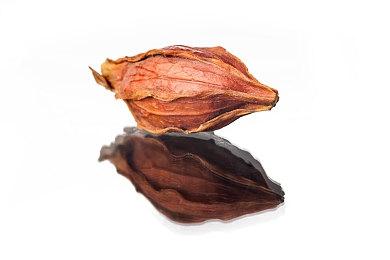 高能电玩节：《无尽地牢》简体中文版游戏实机视频首次公开